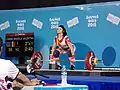 Mihaela Cambei