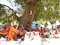 Sadhus