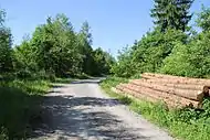 Gipfelbereich des Glasberges