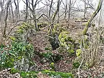 Hangrutschung mit Abrißspalten