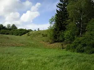 Der Teichdamm