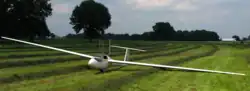 Hornet