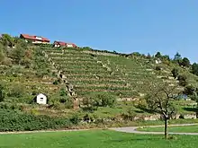 Weinberge am Markgröninger Mühlberg, rechts der Glems