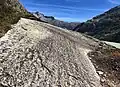 Gletscherschliff im Granit mit Trittschäden an der Flechtenvegetation
