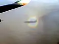 Glorie um den Schatten eines Airbus A320-200 (Beobachtung bei flach stehender Sonne aus einer Position hinter den Tragflächen)