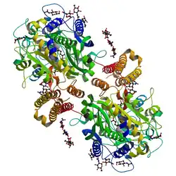 Prostataspezifisches Membranantigen