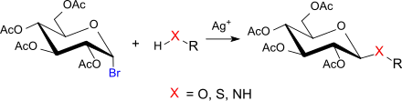 Glycosylierungsreaktionen mit Acetobromglucose