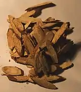 Süßholzwurzel (Glycyrrhiza glabra)