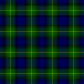 Tartan der Familie Gordon (aus dem Vestiarium Scoticum)