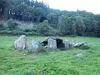 Allée couverte von Minguionnet