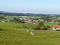 Schönau von Osten