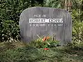 Robert Döpel, Kernphysiker