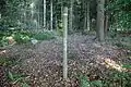 Vom ehemals vorhandenen Hinweisschild ist heute nichts mehr erhalten