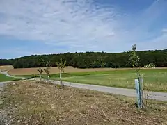 NW-Ecke des Waldgebiets