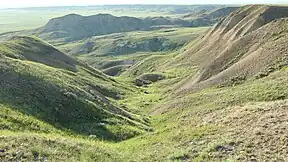 Grassland-Nationalpark
