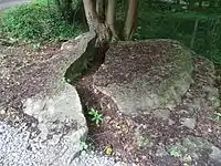 Gravier de Gargantua