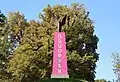 Eduard Freudmann – Monument to a myth, Graz, Österreich, 2019