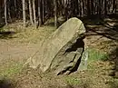 Grenzstein in Form eines Findlings, zwischen Schenkendorf und Damsdorf, siehe „Alle ehemaligen Grenzsteine im Kreisgebiet des ehemaligen Kreises Luckau…“