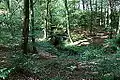 Gellenbach