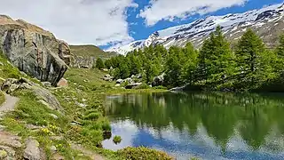 Wanderweg am Nordufer
