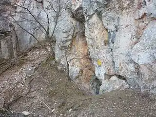 Eingangsbereich der Großen Kollerhöhle (Februar 2011)