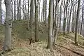 Plateau der größeren (nordöstlichen) Burg, mit Resten des Ringwalls