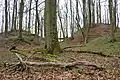 Die Burghügel der Doppelburg, Blick von Nordwesten