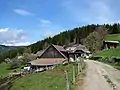 Großkoll