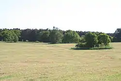Blick auf die Großsteingräber 1, 3 und 4 bei Burtevitz und das Großsteingrab Lancken-Granitz 4 (vordere Baumgruppe)