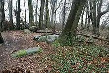 Großsteingrab Bliedersdorf 3
