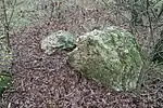 Großsteingrab Brookbäke 2