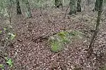 Großsteingrab Brookbäke 3