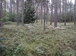 Großsteingrab Bruchtorf 1