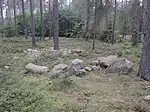 Großsteingrab Bruchtorf 1
