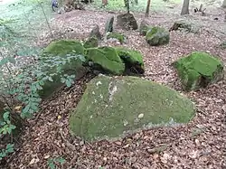 Großsteingrab Edendorf 1
