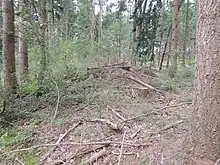 Großsteingrab Edendorf 7