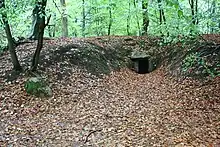 Großsteingrab Flögeln 2