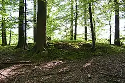 Großsteingrab Giekau