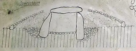 Querschnitt