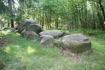 Großsteingrab Hohe Steine