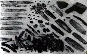 Fundstücke aus Feuerstein und Bernstein