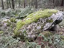Polygonaldolmen von Lexow