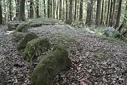 Großsteingrab Panker 1, Zustand im Jahr 2018. Der Hügel ist noch deutlich erkennbar.