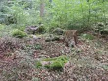 Großsteingrab Solchstorf 2