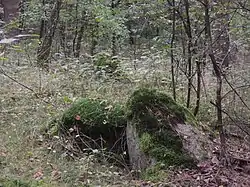 Großsteingrab Sottorf 1