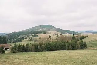 Grodczyn