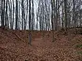 Frühere Siedlung der Golensizen