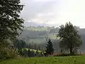 Pogórze Bukowińskie