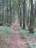 Hermannsweg am Großen Freeden