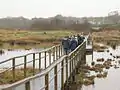 Naturschutzgebiet Marais de Séné
